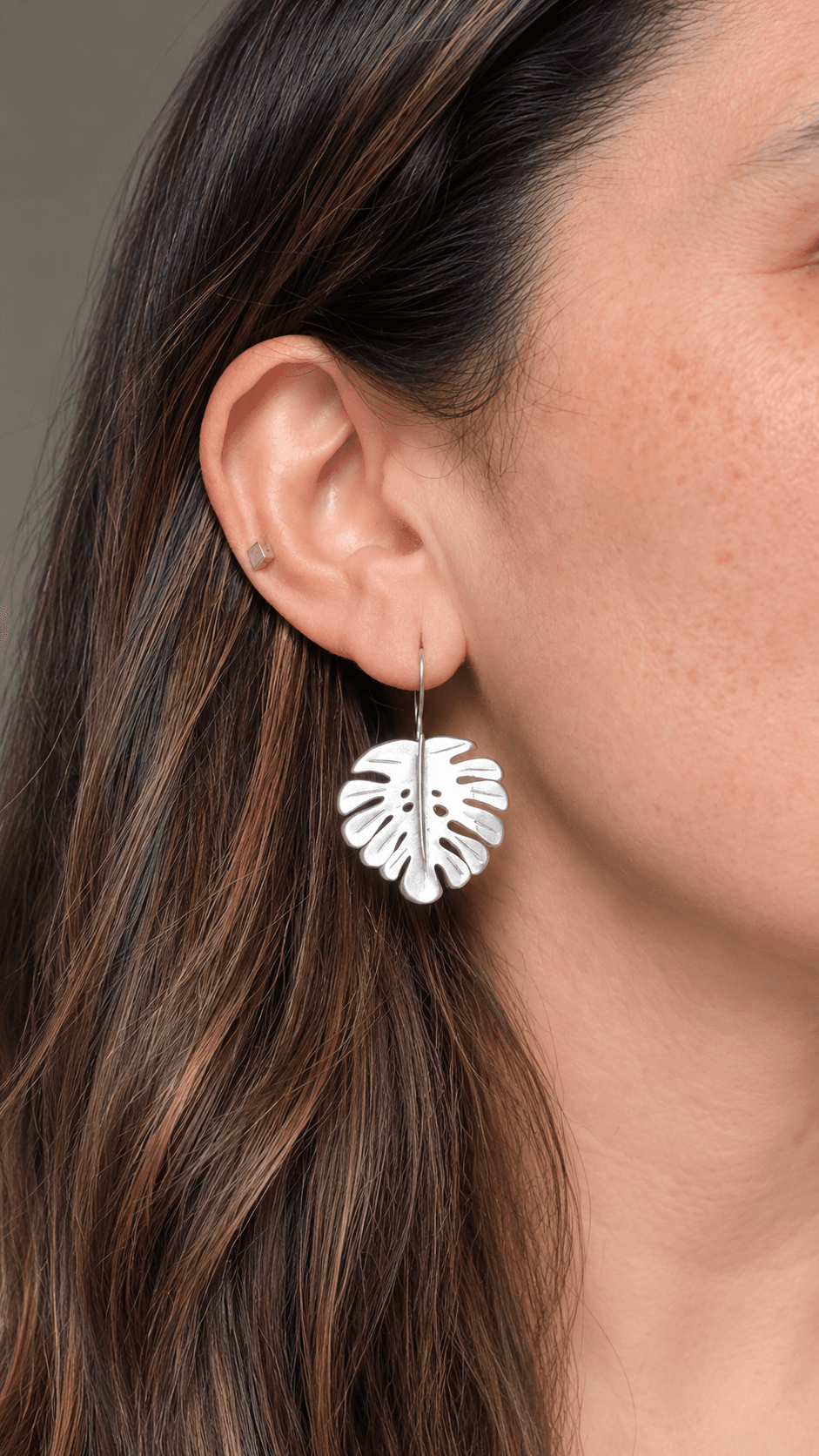 Aros Monstera vista 2